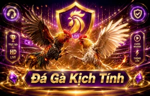 Sảnh Đá Gà DAGA